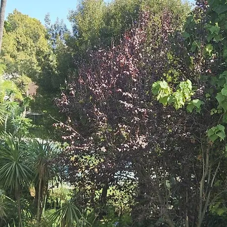Bonito Piso Con Jardines Y Piscina